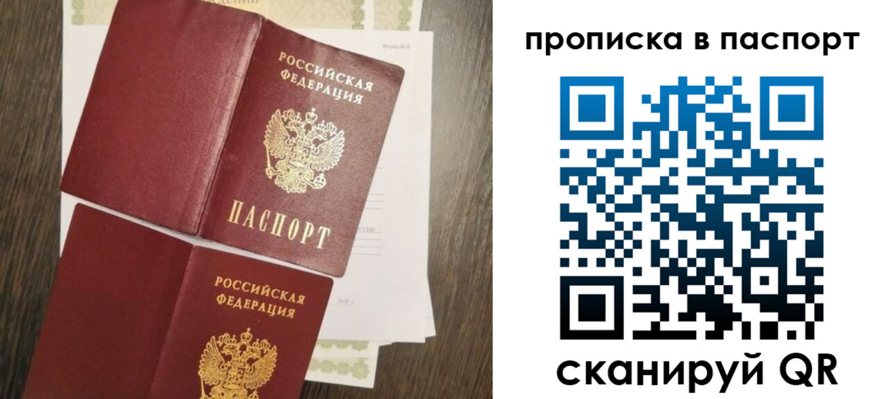 прописка гарантия в Волгодонске