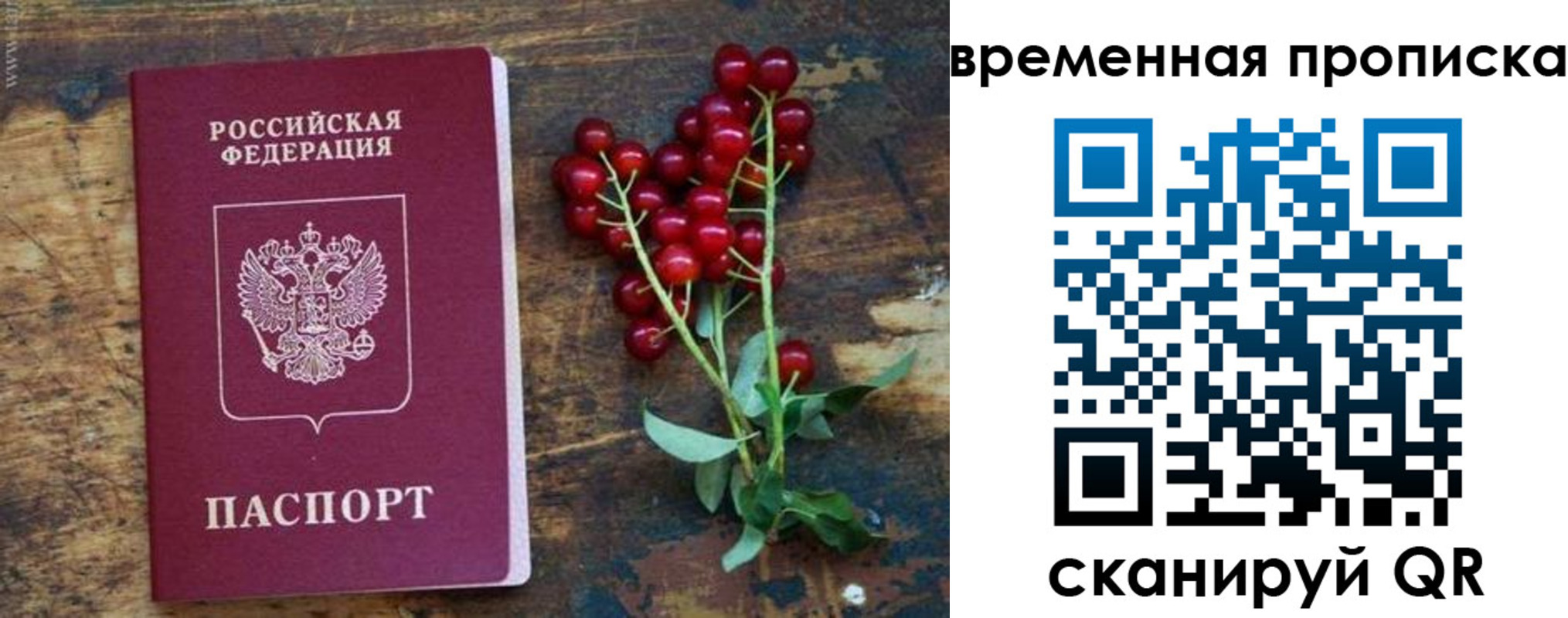 временная регистрация гарантия в Волгодонске